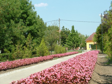 2007. 08. 17. 12:46