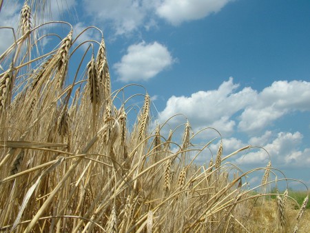 2008. 06. 22. 13:09.