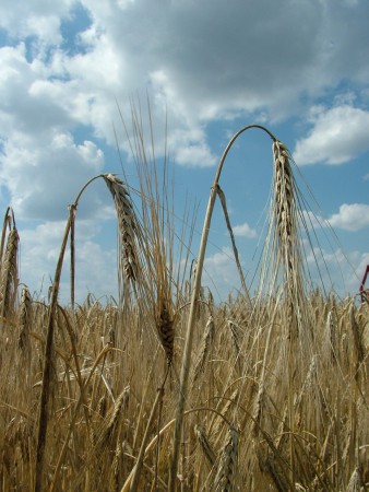 2008. 06. 22. 13:22.