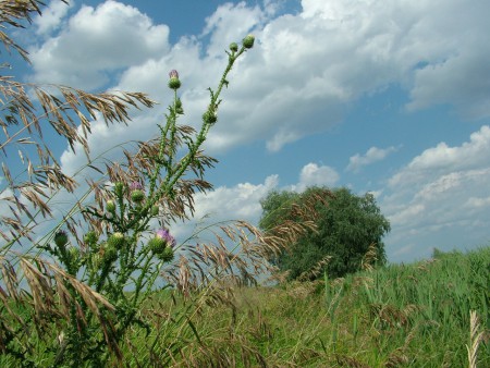 2008. 06. 22. 14:03.