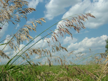 2008. 06. 22. 14:03.