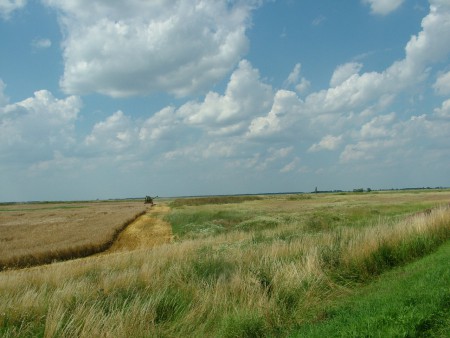 2008. 06. 22. 14:05.