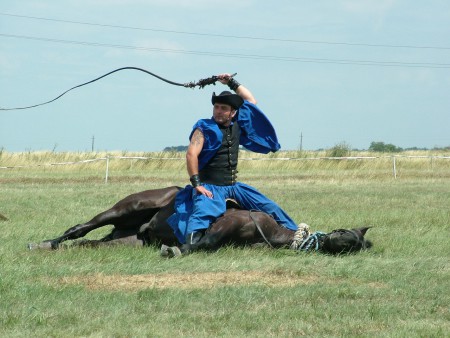 2008. 07. 05. 12:16.