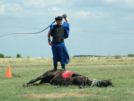 2008. 07. 05. 12:17.