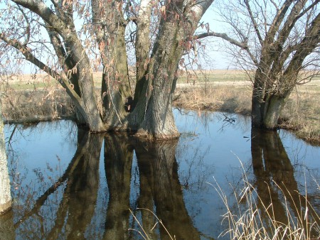 2005. 04. 02. 10:47.