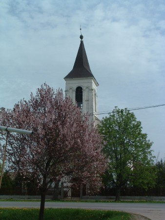 2005. 04. 17. 10:32.