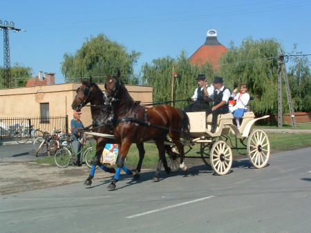 2002.