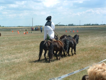 2002.