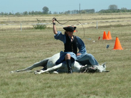 2007. 07. 07. 11:36.